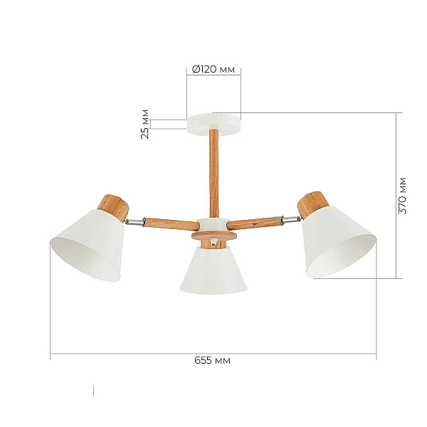 Потолочная люстра Evoluce Buve SLE103702-03