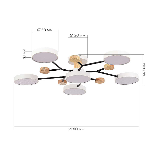 Потолочная светодиодная люстра Evoluce FAEMA SLE6006-502-06