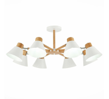 Потолочная люстра Evoluce Buve SLE103702-08