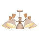 Потолочная люстра Evoluce Vista SLE1256-502-05