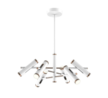 Подвесная светодиодная люстра Favourite Duplex 2325-12P