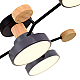 Потолочная светодиодная люстра Evoluce FAEMA SLE6006-702-04
