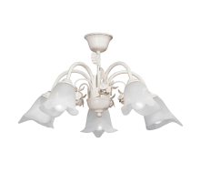 Потолочная люстра Vitaluce V1275-0/5PL