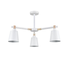 Потолочная люстра Lumion Moderni Rosalina 8097/3C