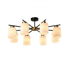 Потолочная люстра IMEX Troya MD.22436-8-S-BK+MGD