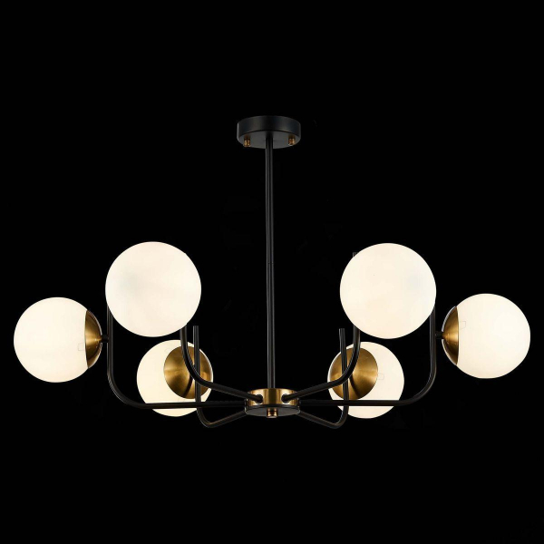 Потолочная люстра Evoluce Ciane SLE1098-402-06 Потолочная люстра Evoluce Ciane SLE1098-402-06