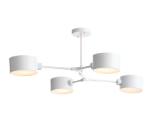 Потолочная люстра Evoluce Gimento SLE183502-04