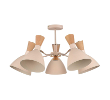 Потолочная люстра Evoluce Vista SLE1256-502-05