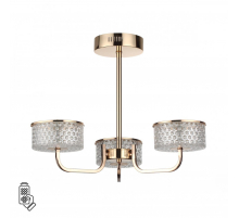 Потолочная светодиодная люстра Lumion Ledio Venice 6579/40CL