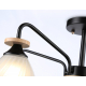 Потолочная люстра Ambrella light Traditional Modern TR9571
