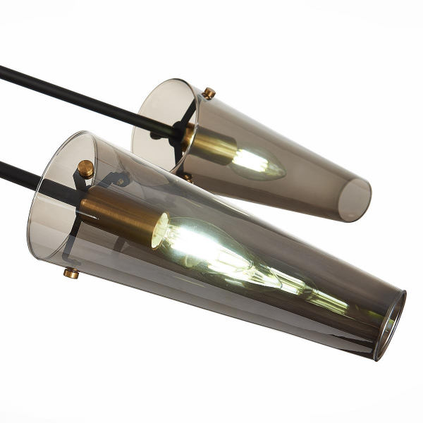 Подвесная люстра ST Luce Morave SL1209.302.06 Подвесная люстра ST Luce Morave SL1209.302.06