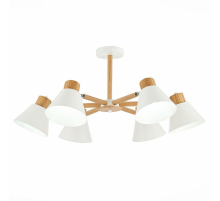 Потолочная люстра Evoluce Buve SLE103702-06