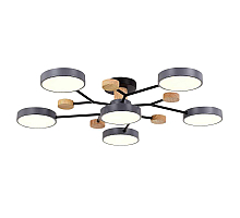 Потолочная светодиодная люстра Evoluce FAEMA SLE6006-702-06