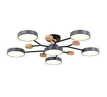 Потолочная светодиодная люстра Evoluce FAEMA SLE6006-702-06