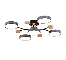 Потолочная светодиодная люстра Evoluce FAEMA SLE6006-702-05