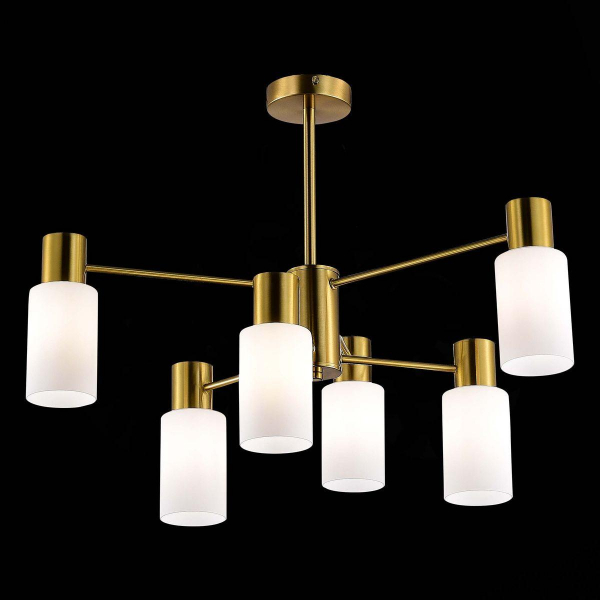 Потолочная люстра Evoluce Gessi SLE1139-302-06 Потолочная люстра Evoluce Gessi SLE1139-302-06