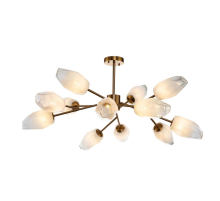 Потолочная люстра Indigo Boccio 13003/12C Brass V000005