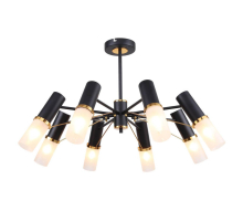 Потолочная люстра F-Promo Viator 2558-8P