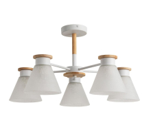 Потолочная люстра Arte Lamp Tyler A1031PL-5WH