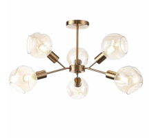 Потолочная люстра Evoluce Gentore SLE155302-06