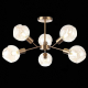 Потолочная люстра Evoluce Gentore SLE155302-06