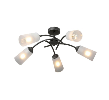 Потолочная люстра Vitaluce V2850-1/5PL