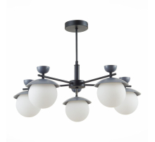 Подвесная люстра Evoluce Genova SLE220202-05