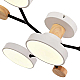 Потолочная светодиодная люстра Evoluce FAEMA SLE6006-502-04