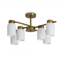 Потолочная люстра Freya Kamelia FR5446PL-06BS