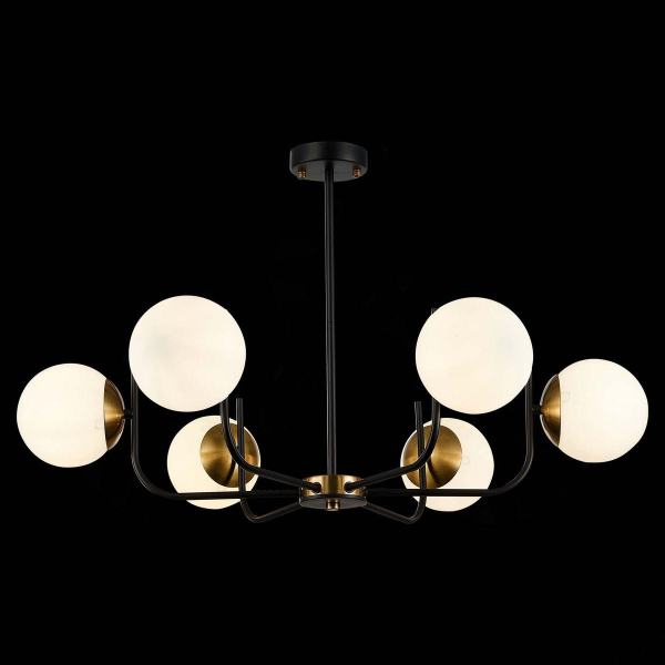 Потолочная люстра Evoluce Ciane SLE1098-402-06 Потолочная люстра Evoluce Ciane SLE1098-402-06