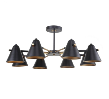 Потолочная люстра F-Promo Rigor 2844-8P