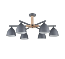 Потолочная люстра Lumion Moderni Colange 8096/6C
