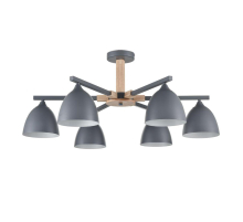 Потолочная люстра Lumion Moderni Colange 8096/6C