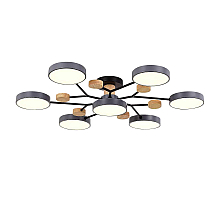 Потолочная светодиодная люстра Evoluce FAEMA SLE6006-702-07
