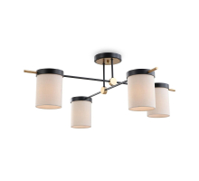 Потолочная люстра Freya Bogy FR5377CL-04B