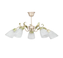 Потолочная люстра Vitaluce V1535/5PL