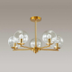 Потолочная люстра Lumion Moderni Blair 3769/5C