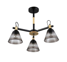 Потолочная люстра Rivoli Elmira 9117-303 Б0053431