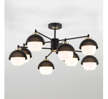 Потолочная люстра Eurosvet 70106/8 черный
