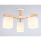 Потолочная люстра Ambrella light Traditional Loft TR83115