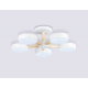 Потолочная светодиодная люстра Ambrella light Comfort LineTech FL4825
