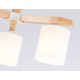 Потолочная люстра Ambrella light Traditional Loft TR83112