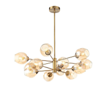 Подвесная люстра ST Luce Fovia SL1500.203.12