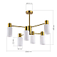 Потолочная люстра Evoluce Gessi SLE1139-302-06