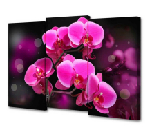 Модульная картинаToplight 100х150х3см TL-M2074