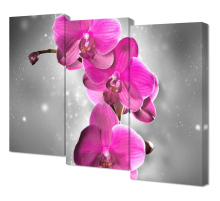 Модульная картина Toplight 100х150х3см TL-M3076