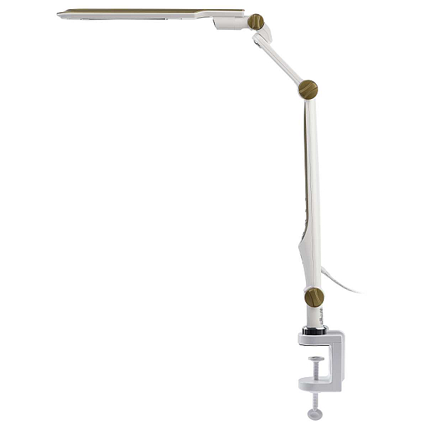 Настольная лампа ЭРА NLED-496-12W-G Б0052769