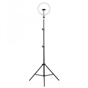 Торшер Camelion KD-810F C02 13010