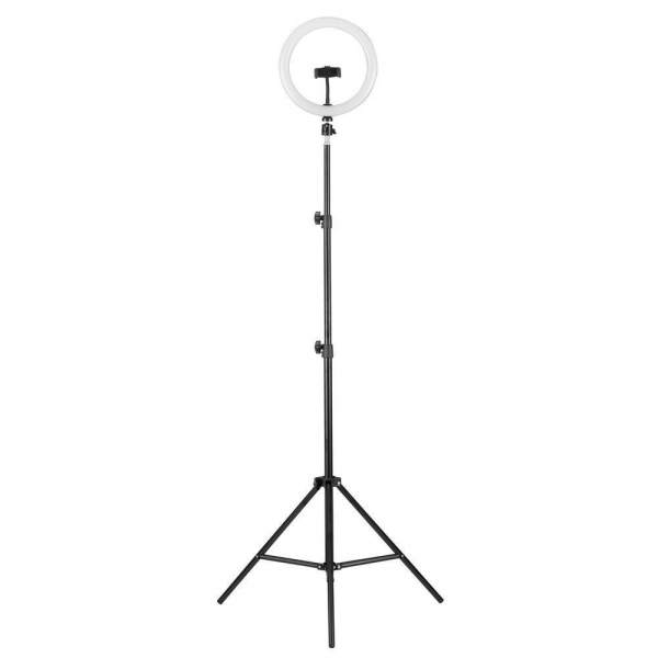 Торшер Camelion KD-810F C02 13010 Торшер Camelion KD-810F C02 13010