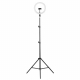 Торшер Camelion KD-810F C02 13010